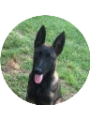 Picture of Tyler Bearden