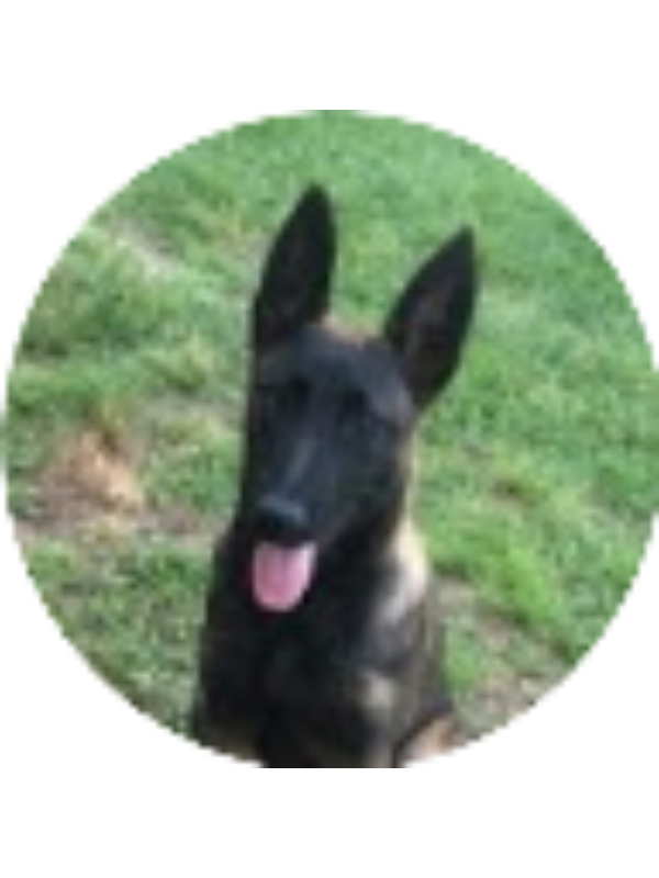 Photo of Tyler Bearden