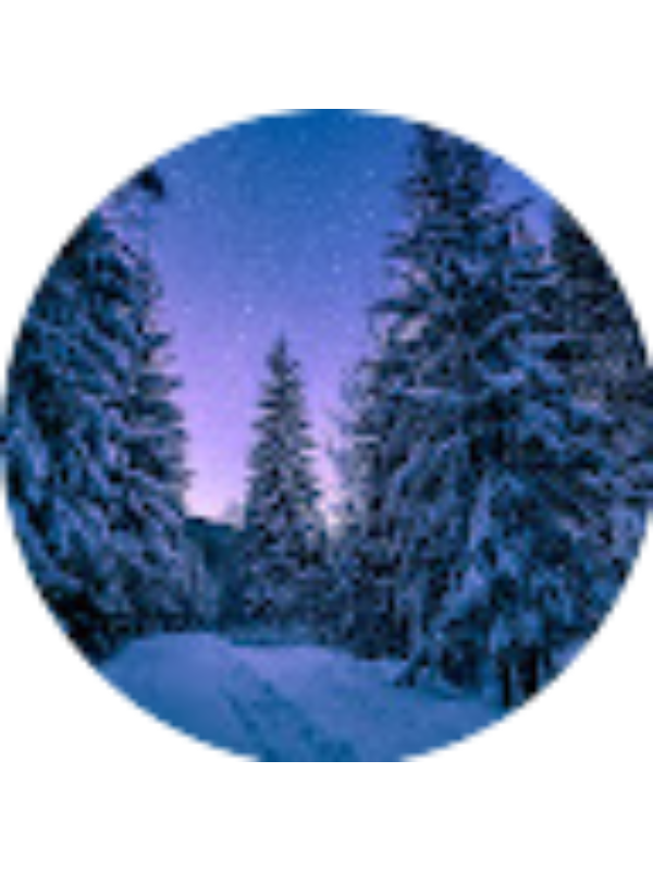 Photo of Kseniya Piartsouskaya