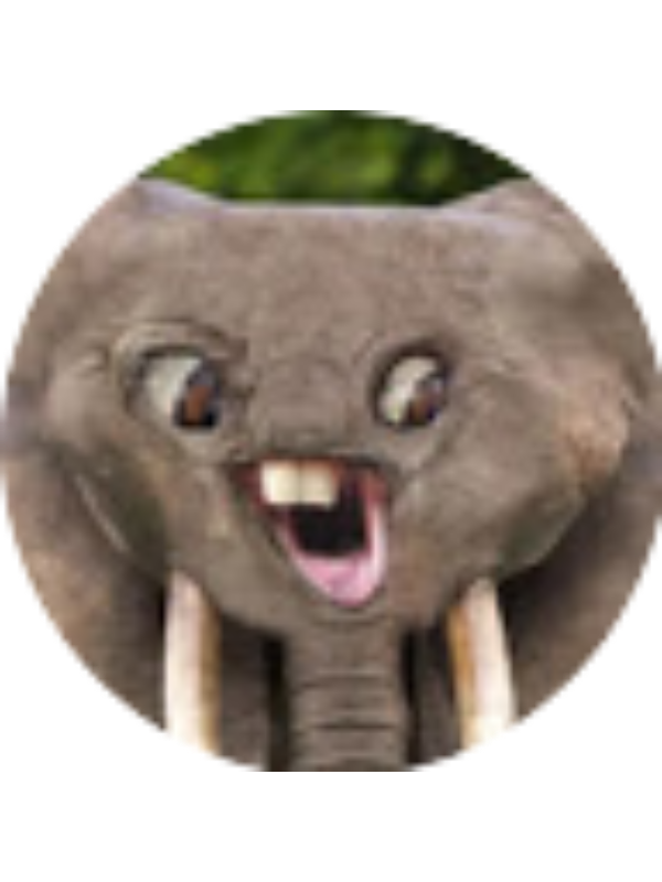 Photo of Nicholas DeSantis