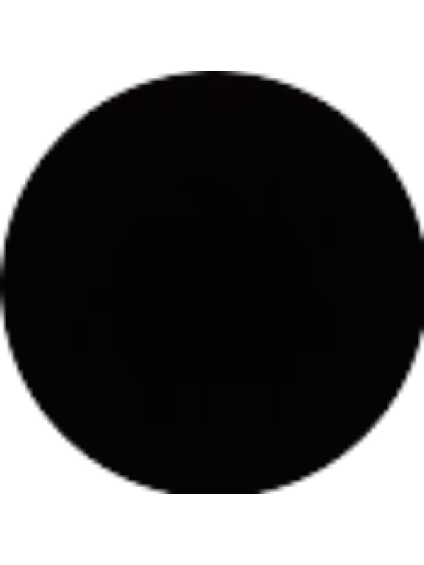 Photo of Emily Torres