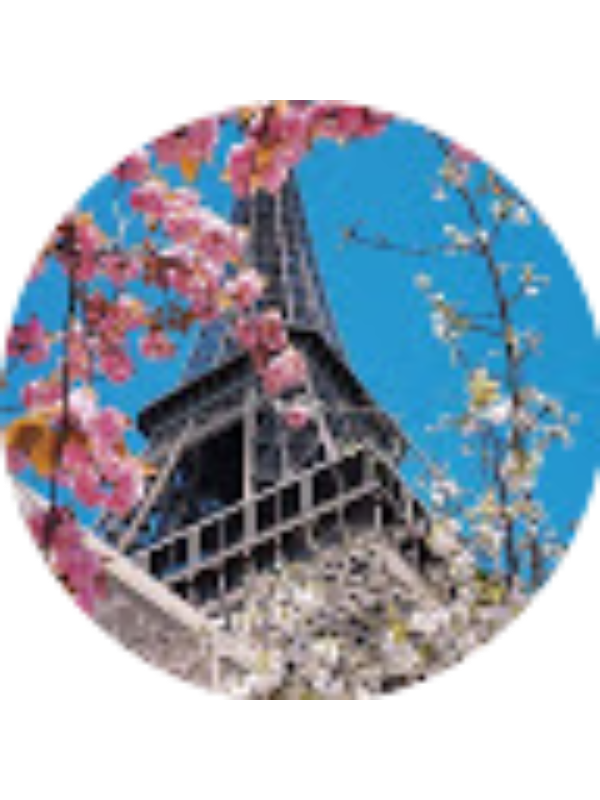 Photo of Ionescu Brandusa