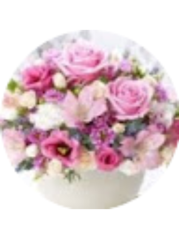 Photo of Cristina Mihai