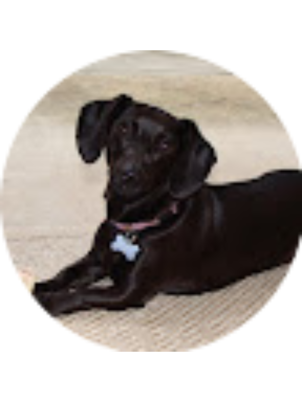 Photo of Sally Brown