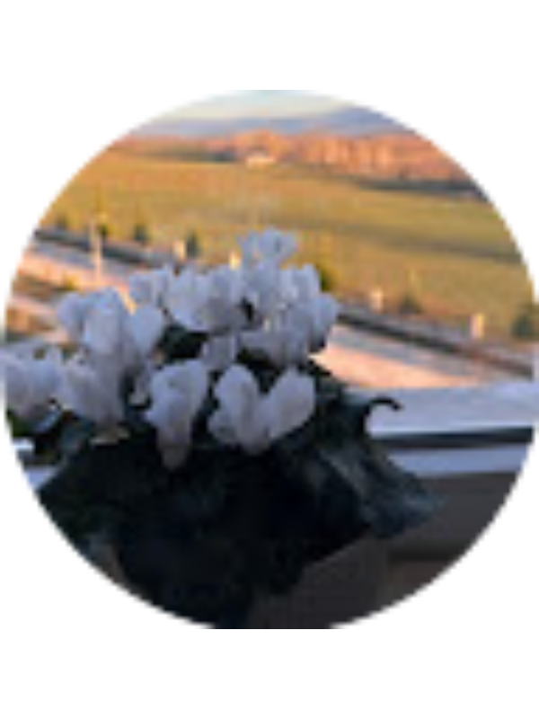 Photo of Sevgi Bektaş Bedir