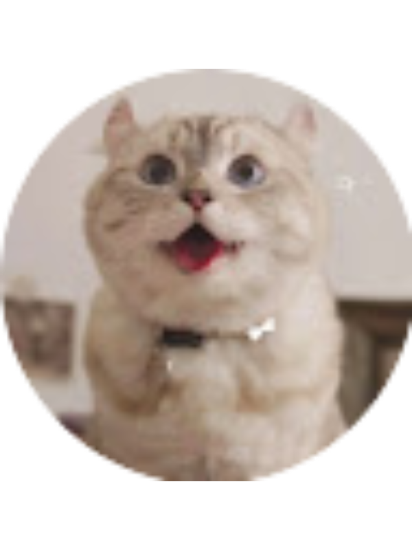 Photo of Ashton Chean