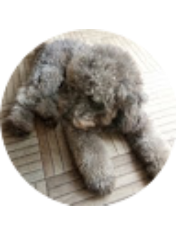 Photo of Christ Mulia