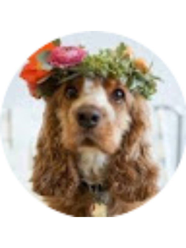 Photo of Jusette Uzeda Rodriguez