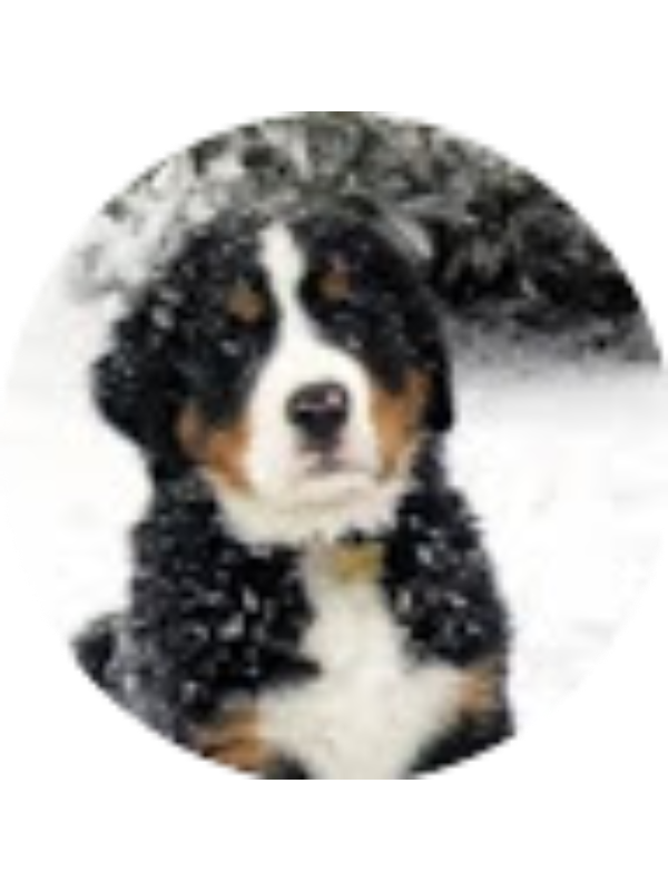 Photo of Jared Bruns