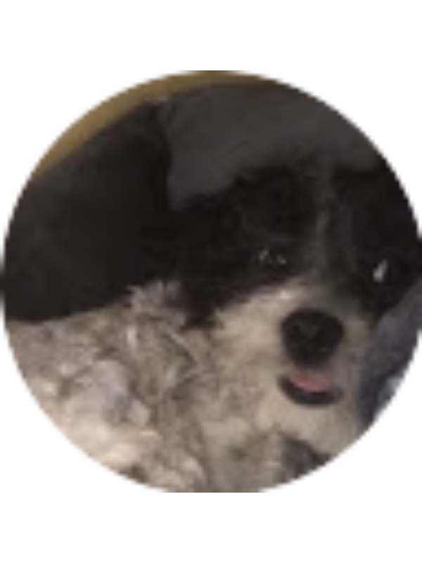 Photo of Mia Reynolds