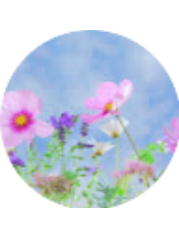 Photo of Stacie Durzzo