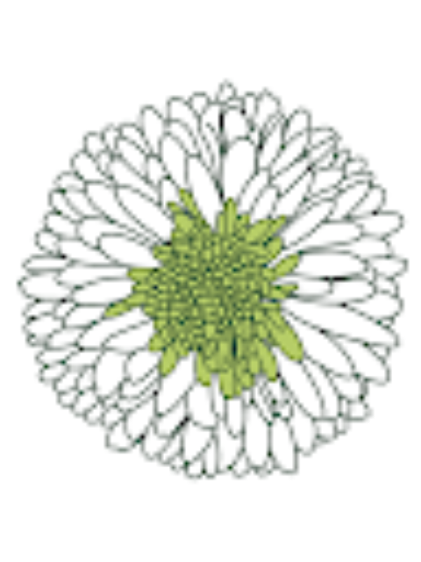 Photo of Munay Bienestar Est&eacute;tico