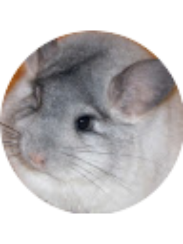 Photo of Brianna Dermont