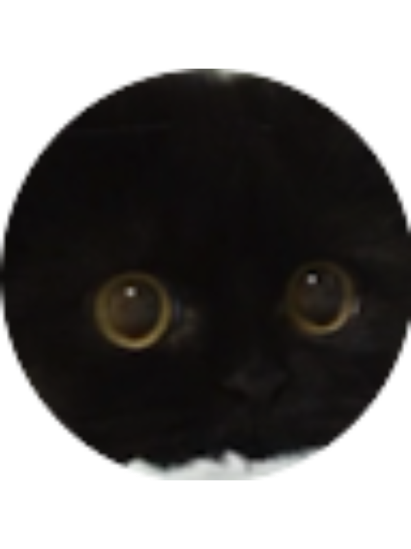 Photo of Riley Murphy