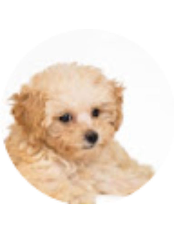 Photo of Ann Whatley