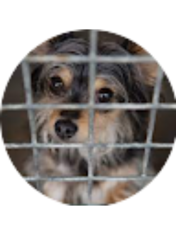 Photo of Matteo Cecchi