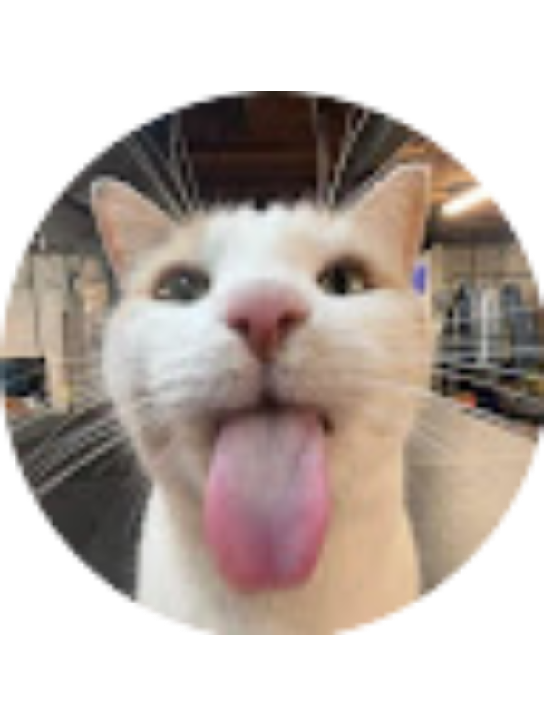 Photo of נעם קיטרוסר