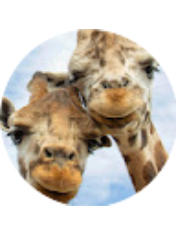 Photo of J'ontai Bailey