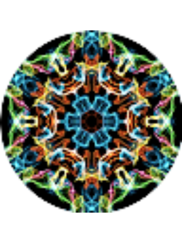 Photo of Brandon M Ohlrogge