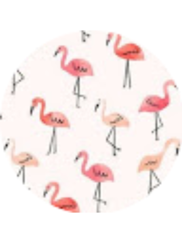 Photo of Rachel Kuntz