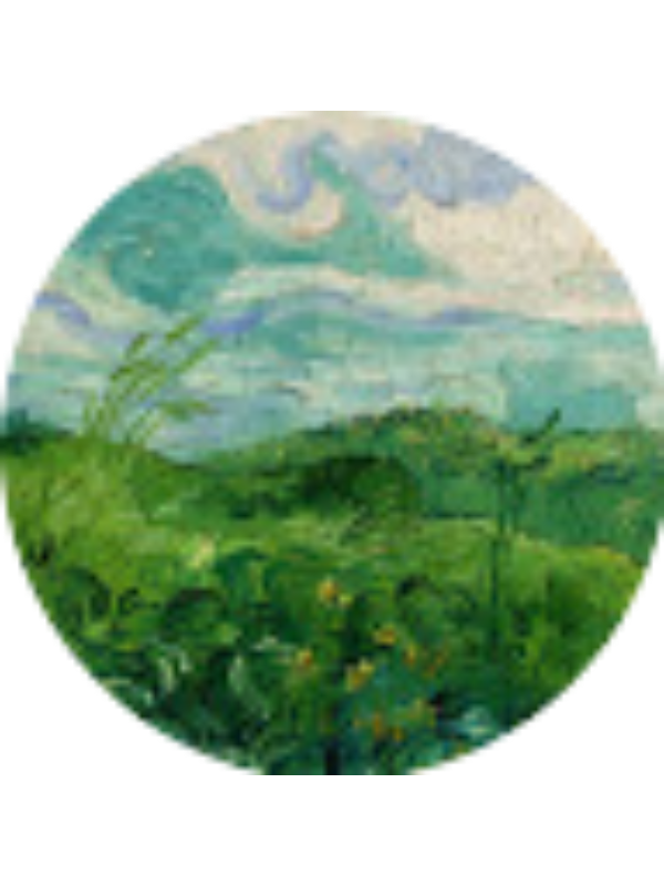 Photo of SENEM DİLA YILMAZ