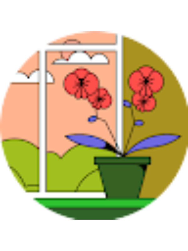 Photo of Kailana Ngo