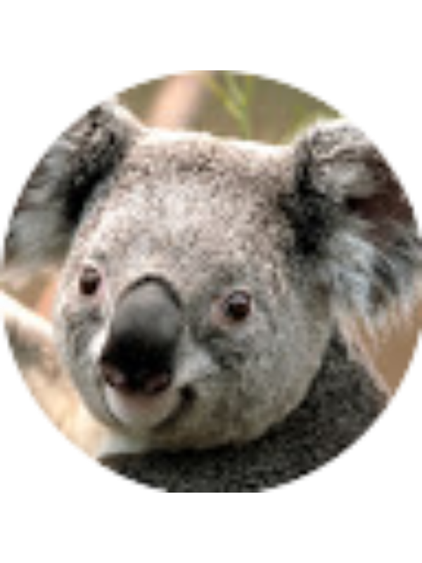 Photo of Jana Korpenkov