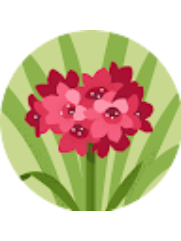 Photo of Mar&iacute;a Mercedes Salguero