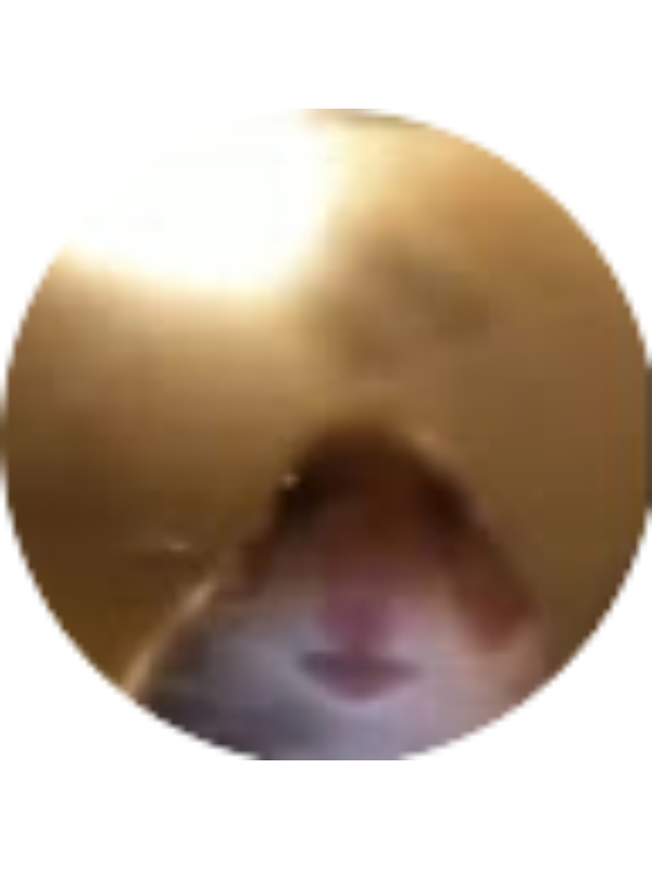 Photo of Juan Sanchez Campos