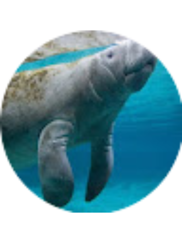 Photo of Samantha McNichol