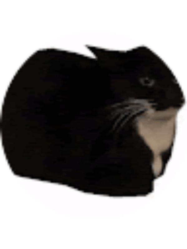 Photo of EDWIN OVALLE SANTOS