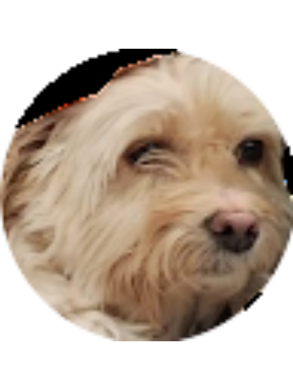 Photo of Emmanuel Paik