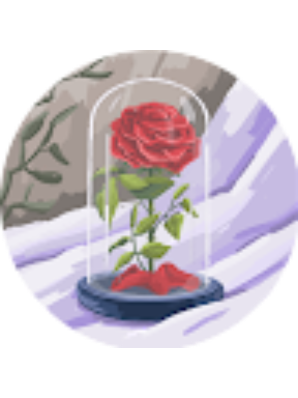 Photo of Safira KHANDKER