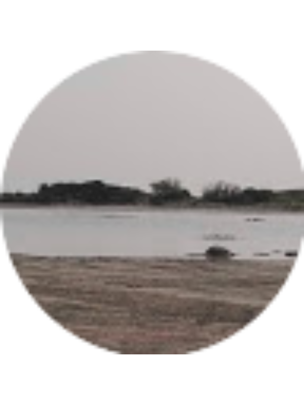 Photo of Emily Katraki