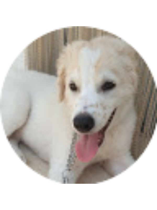 Photo of Annalisa Lucafò