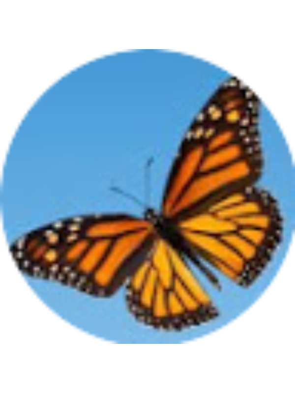 Photo of Hayden Moody (SHFA)