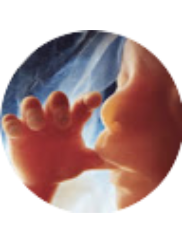 Photo of Elżbieta Murawska