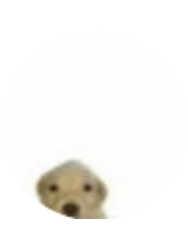 Photo of BEJENARU ALEXANDRA PAOLA