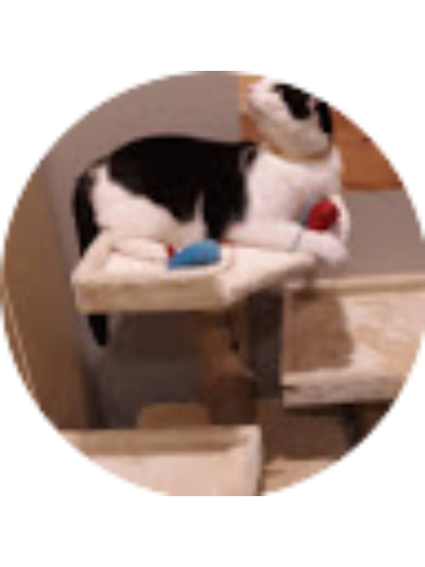 Photo of Jacob Dodge