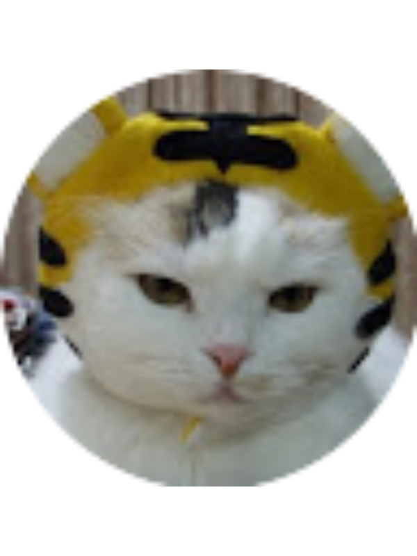 Photo of Lin jun Huang