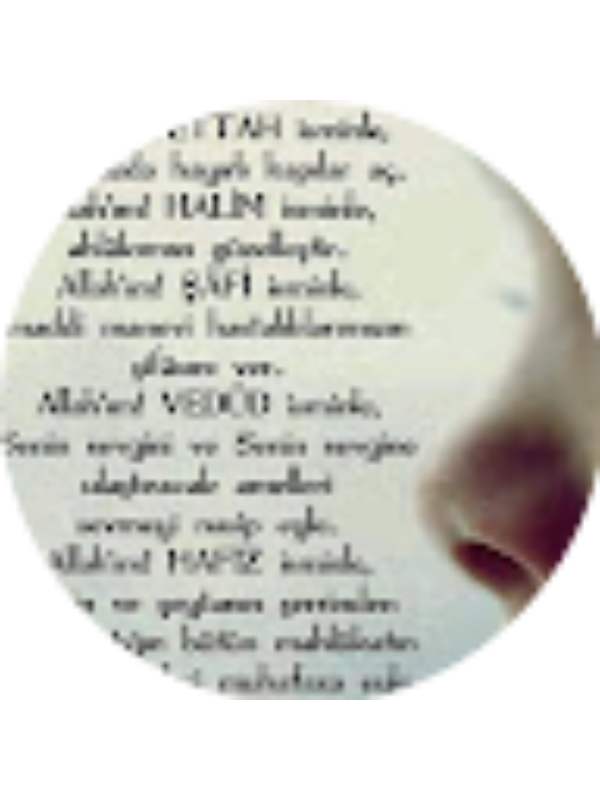 Photo of Hatice Basyigit