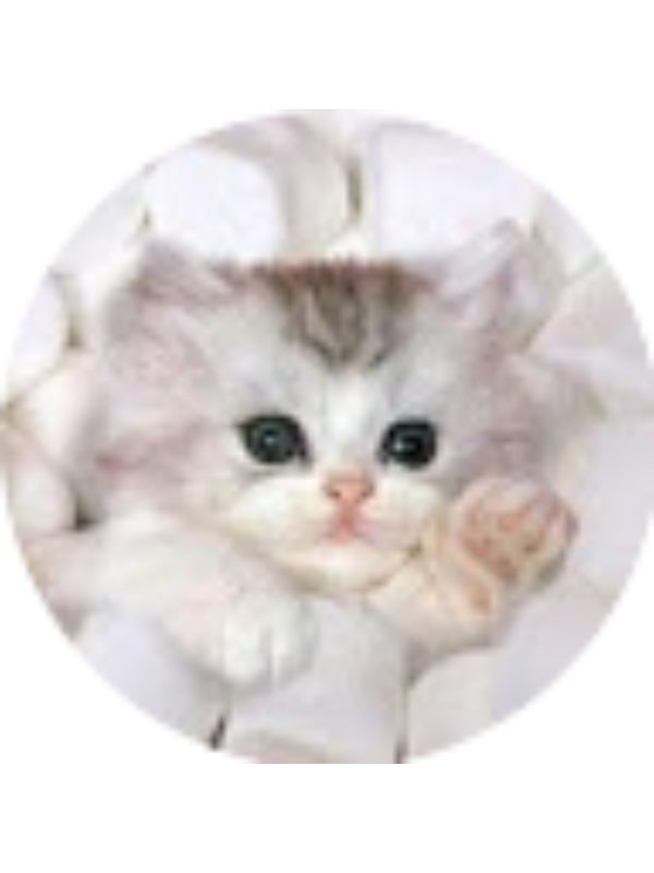 Photo of IM - 05MT - Castle Oaks PS (1496)