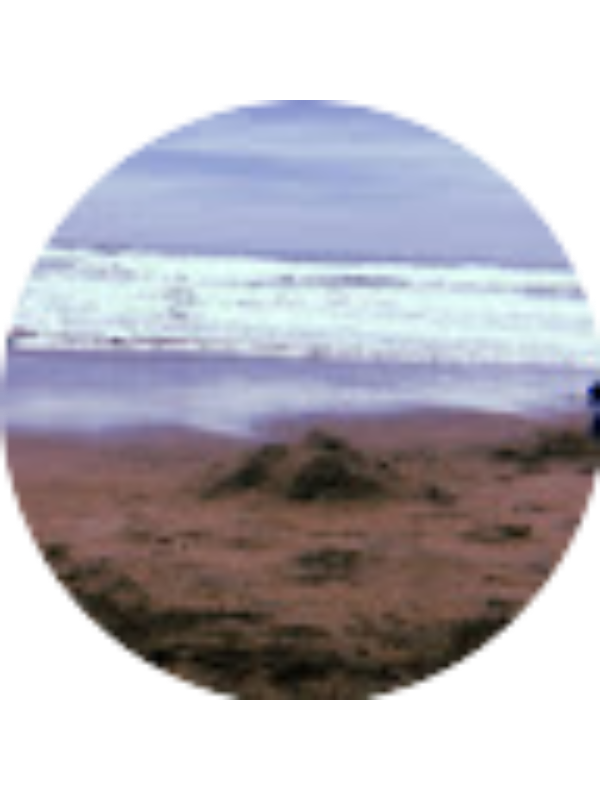 Photo of Bulan Easter