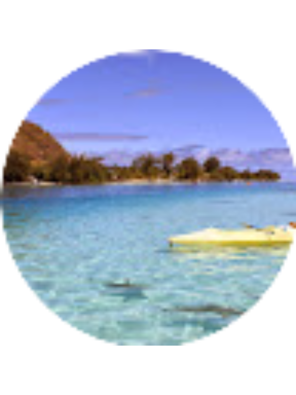 Photo of Gavin Dionisio