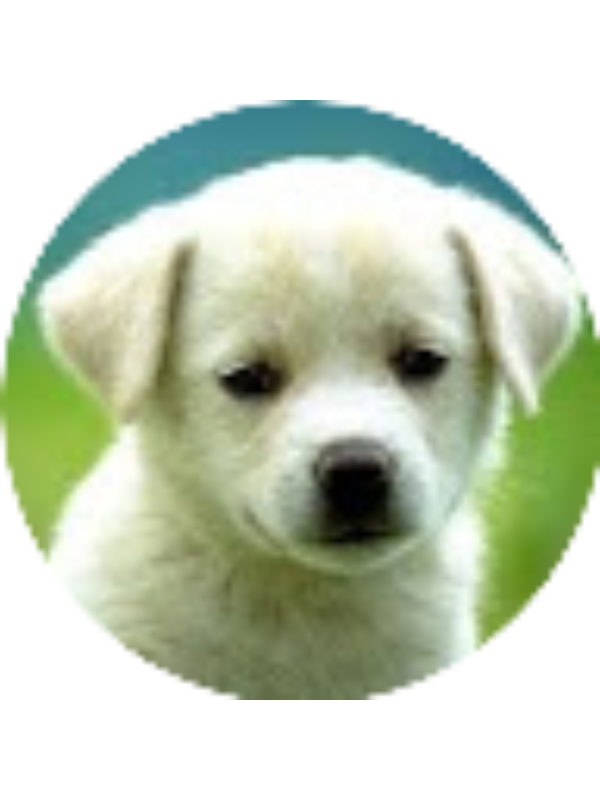 Photo of Madalyn Strait