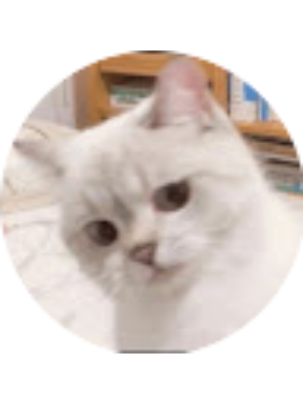 Photo of Nabila septya Anwar