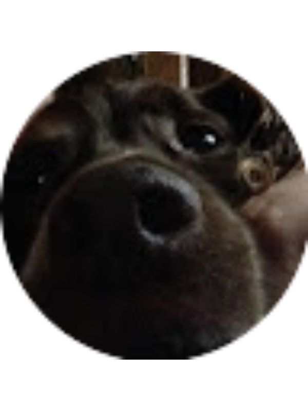 Photo of Torey Destatte