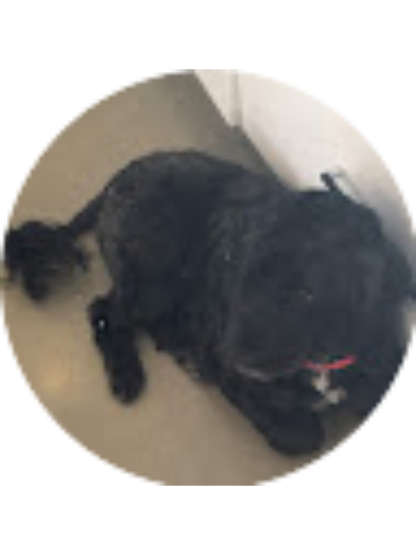 Photo of GABBY CERCA (Student)