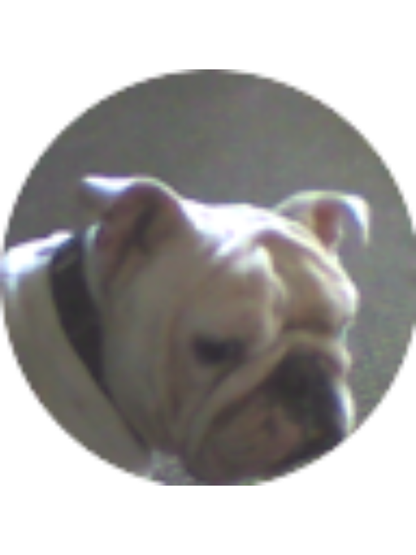 Photo of Anaya E Wolf