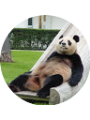 Picture of Kamil 